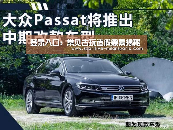 登录入口:常见古玩造假黑幕揭秘(图1) 登录入口:常见古玩造假黑幕揭秘(图1)