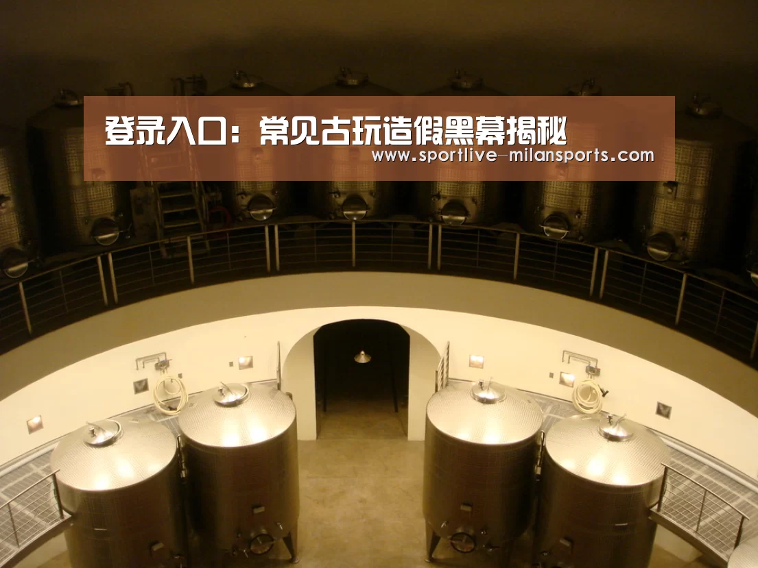 登录入口:常见古玩造假黑幕揭秘(图2) 登录入口