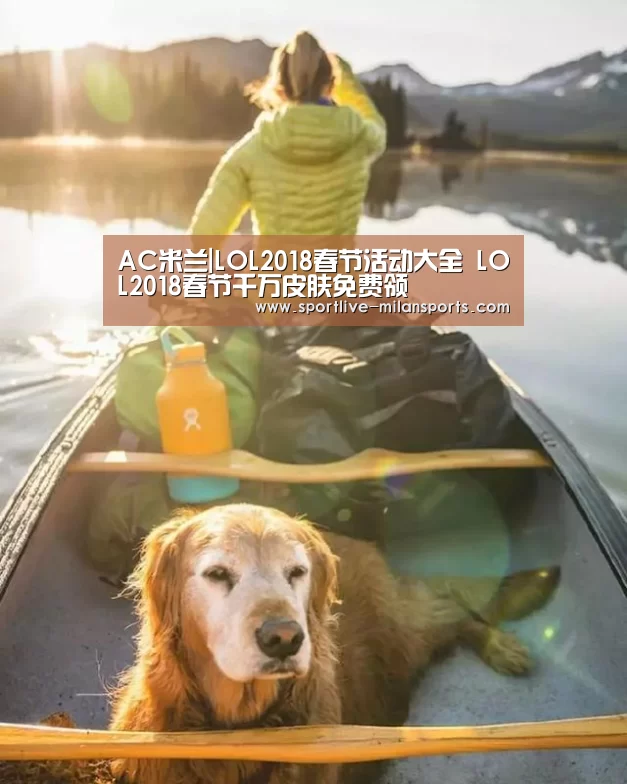 登录入口